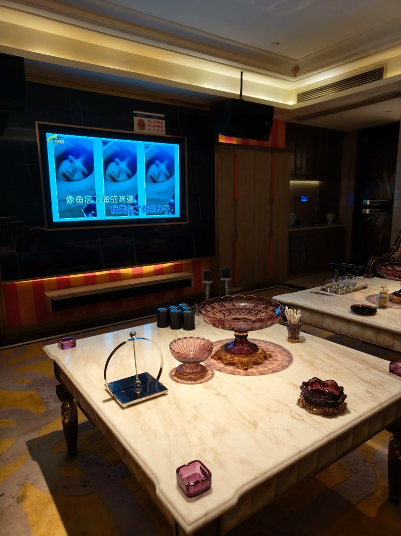 杭州商务KTV玩法大揭秘-萧山区ktv预定